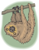 Happy Hanging Sloth Clip Art